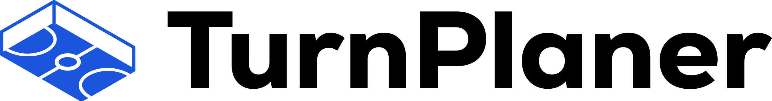 TurnPlaner Logo
